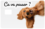 Ça va passer ? - sticker pour carte bancaire, format US