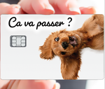 Ça va passer ? - sticker pour carte bancaire, format US