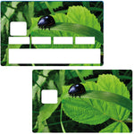 La nature au printemps - sticker pour carte bancaire, 2 formats de carte bancaire disponibles