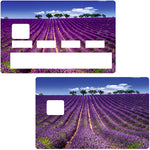 Lavender Fields- credit card sticker, 2 credit card formats available