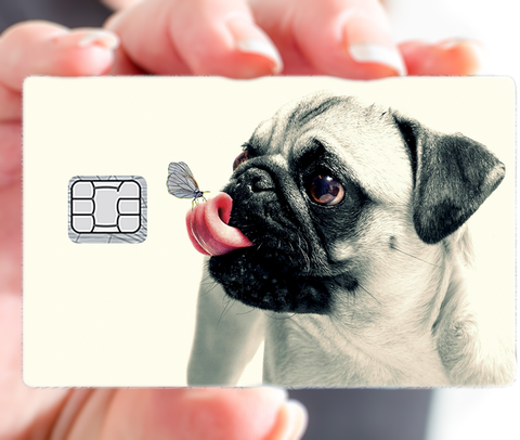 Pug - sticker pour carte bancaire, format US