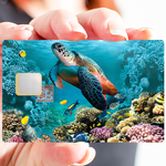 Marine Turtle - credit card sticker, 2 credit card formats available