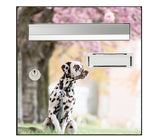 Sticker pour boîte aux lettres, chien Dalmatien