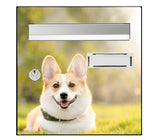 Welsh Corgi dog letterbox sticker