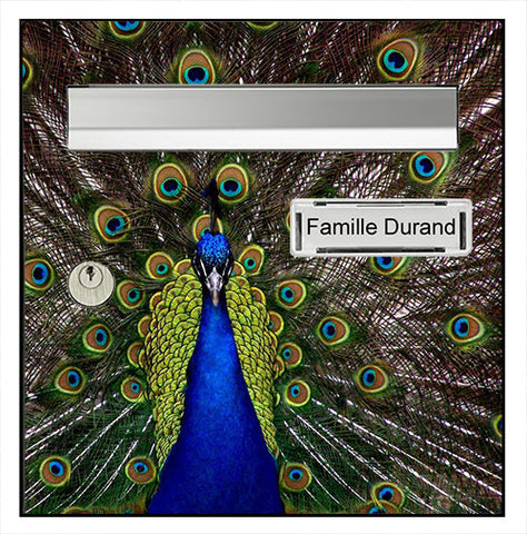 Sticker for letter box, The peacock