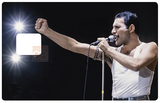 Freddie Mercury - credit card sticker, 2 credit card sizes available 