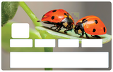 ladybugs - credit card sticker, 2 credit card formats available