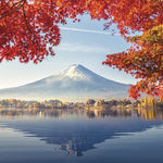 Mount Fuji letterbox sticker