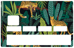 Leopards in the jungle - credit card sticker, 2 credit card sizes available