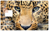 Tête de leopard - sticker pour carte bancaire, 2 formats de carte bancaire disponibles